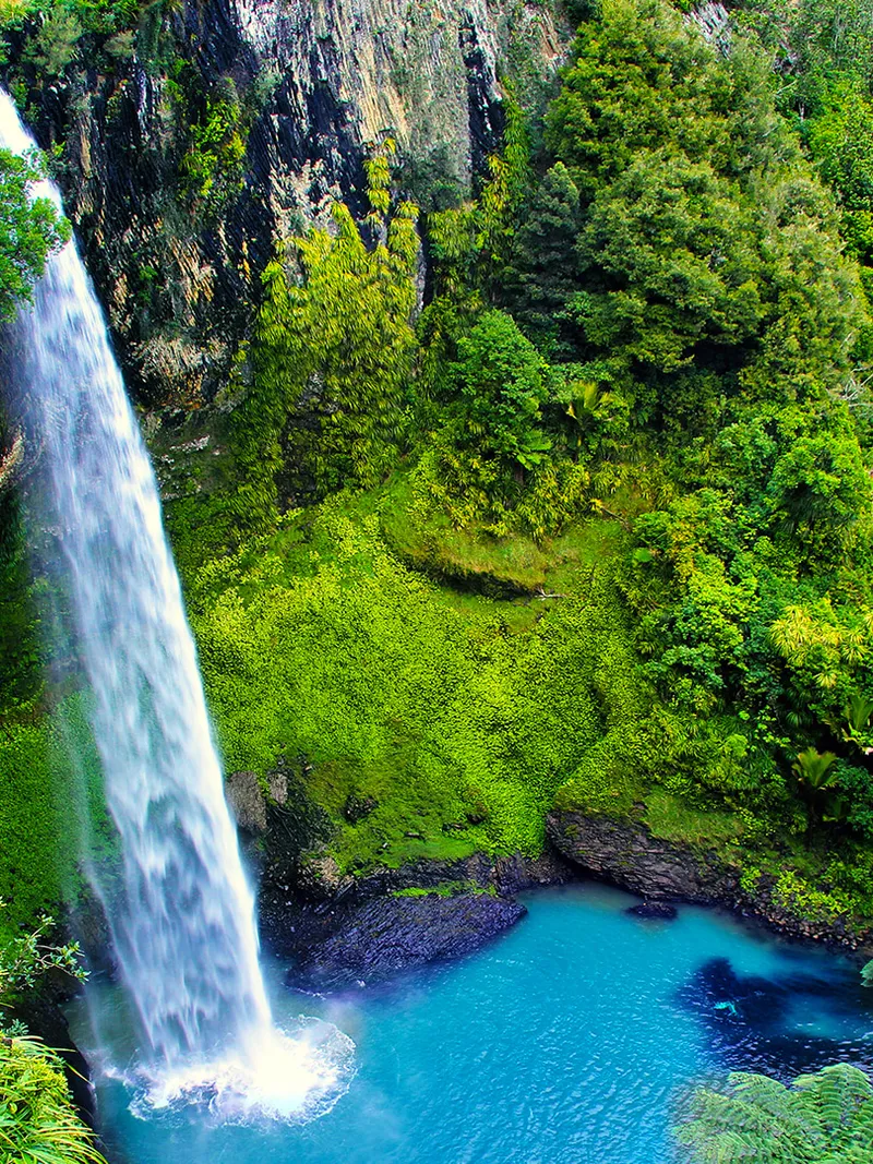 Waikato