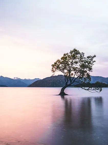 Wanaka