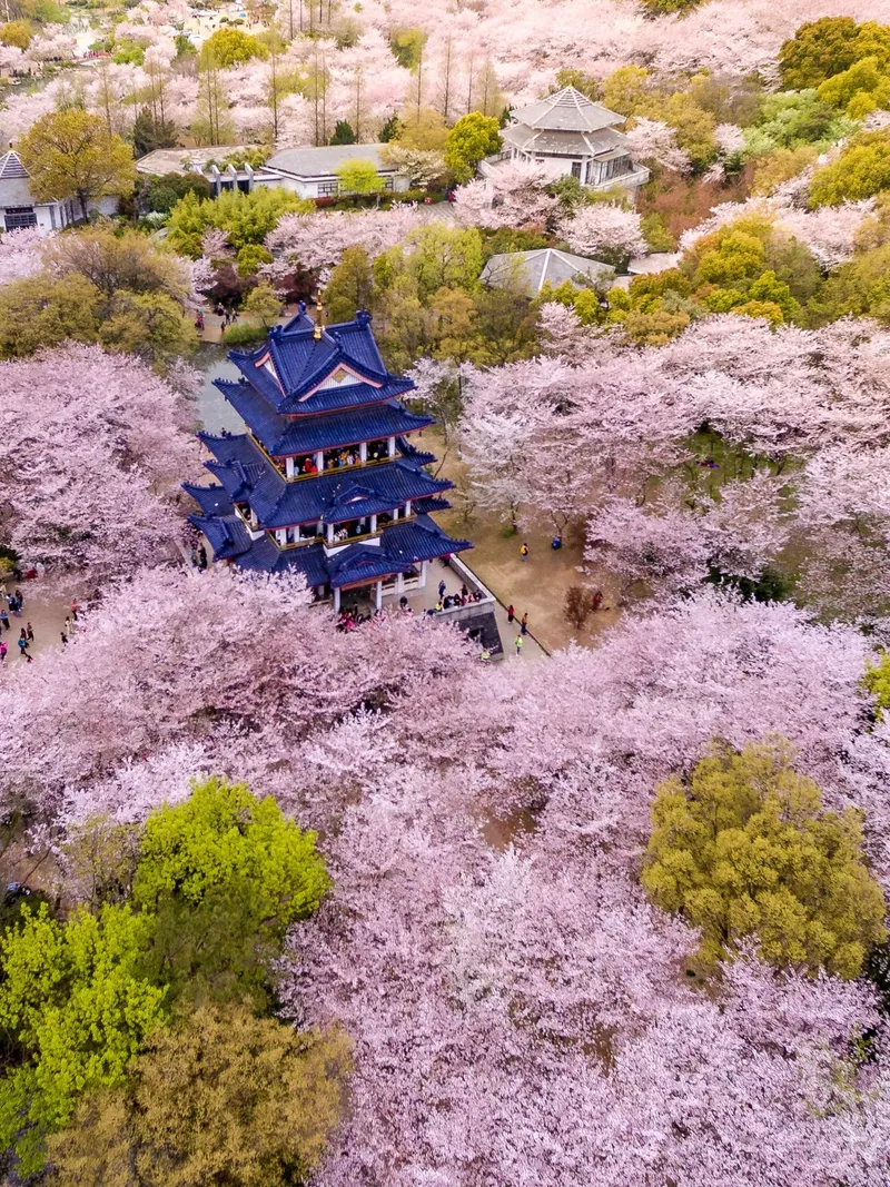 Wuxi